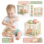 Shape Sorting Cube