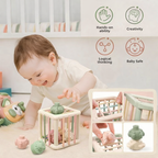 Shape Sorting Cube