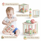 Shape Sorting Cube